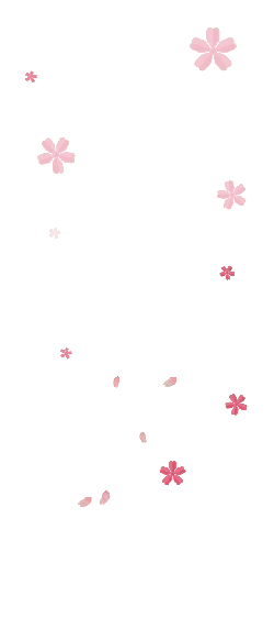 Pink Petals Falling - High Quality PNG - decoration