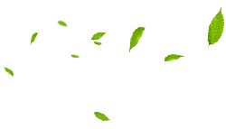 Falling Leaves - PNG
