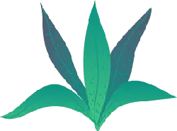 Clover - Popular Download PNG - leaves