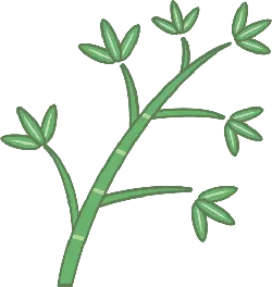 Bamboo - plant - Free PNG