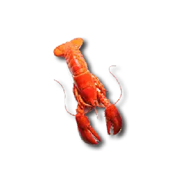 Lobster - red - seafood - High Resolution PNG