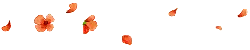 Petals Falling - beautiful - Transparent Layer PNG