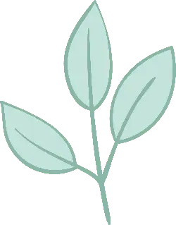 Clover - Popular Download PNG - Highly Rated PNG