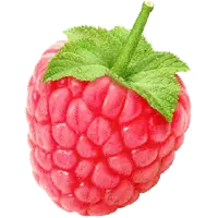 Raspberry - tasty - No Background PNG