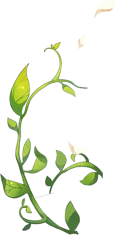 Vine Plant - growth - Free Download PNG