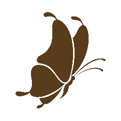Butterfly - insect - abstract - High Resolution PNG