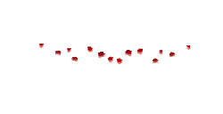 Red Flowers - nature - Designer's Pick PNG