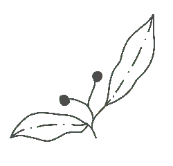 Leaf - simple - plant - High Resolution PNG