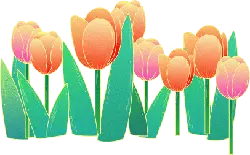 Bouquet of Tulips - pink - High Resolution PNG