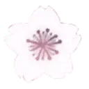 spring - Curated PNG - Cherry Blossom