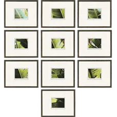 Nine Grid Plant Photos - photography - High Resolution PNG