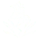 Lily - white - pattern - Free PNG