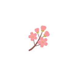 Cherry Blossom - Free Download PNG - beautiful - Pic 1