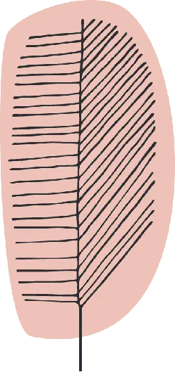 Feather - lightweight - pink - PNG Images