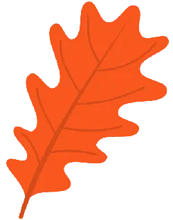 Oak Leaf - leaf - nature - Lossless PNG