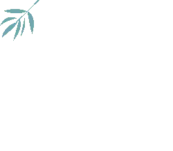 Bamboo Leaf - environmental protection - Free Download PNG