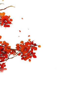 Red Flowers - beautiful - red - High Resolution PNG