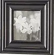 Black and White Photograph of Flowers - photography - High Resolution PNG