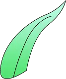 Leaf - Lossless PNG - Designer Recommended PNG