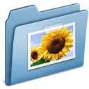 Sunflower - yellow - Designer Recommended PNG
