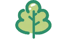 Tree - ecology - Recommended PNG