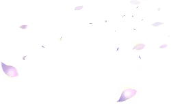 Cherry Blossom Petals Falling - Popular Download PNG