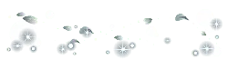 Feathers and Light Spots - light spots - PNG