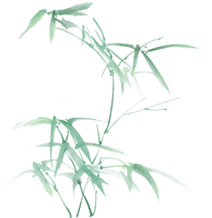 Bamboo - leaves - Trending PNG