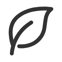 Leaf - No Watermark PNG - environmental protection