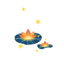 Lotus Lantern - lantern - night - Free Download PNG