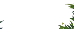 Butterfly - yellow - Lossless PNG