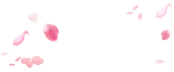 Pink Petals - falling - background - Transparent Background PNG