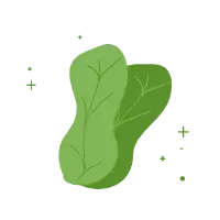 Lettuce - fresh - High Resolution PNG