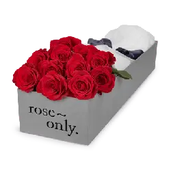 Rose Box - gift - PNG
