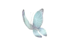White Butterfly - Lossless PNG