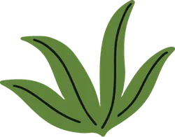 Clover - PNG - ecology