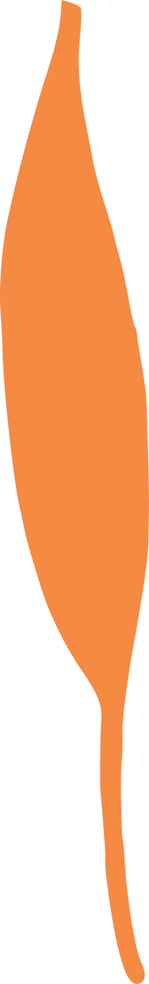Leaf - Designer Recommended PNG - Highly Rated PNG
