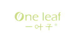 One leaf - fresh - High Resolution PNG