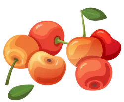 Cherry - sweet - Free for Commercial Use PNG