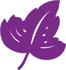 Purple Leaf - Transparent Background PNG