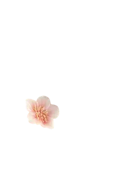Cherry Blossom - Transparent Layer PNG - Highly Rated PNG