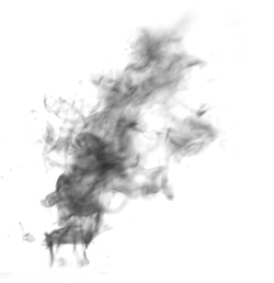 Black Owl - Free PNG - nighttime