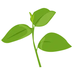 Clover - Recommended PNG - Highly Rated PNG