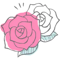 Pink Rose and White Rose - pink - Transparent Layer PNG
