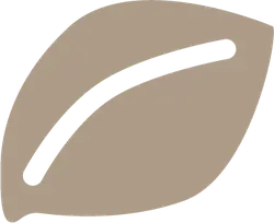 Leaf - Designer Recommended PNG - No Watermark PNG