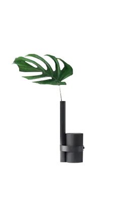Black Bottle with Green Plant - plant - High Resolution PNG
