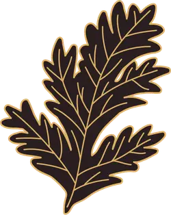 Oak Leaf - line - PNG Images