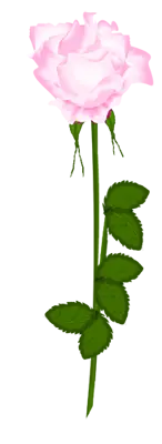 Pink Rose - Fast Download PNG - Free PNG