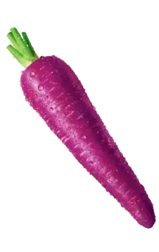 Purple Carrot - purple - Transparent Layer PNG