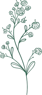 Green Floral Pattern - plant - Free PNG
